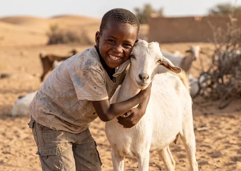 Somali Vacip Kurban Küçükbaş